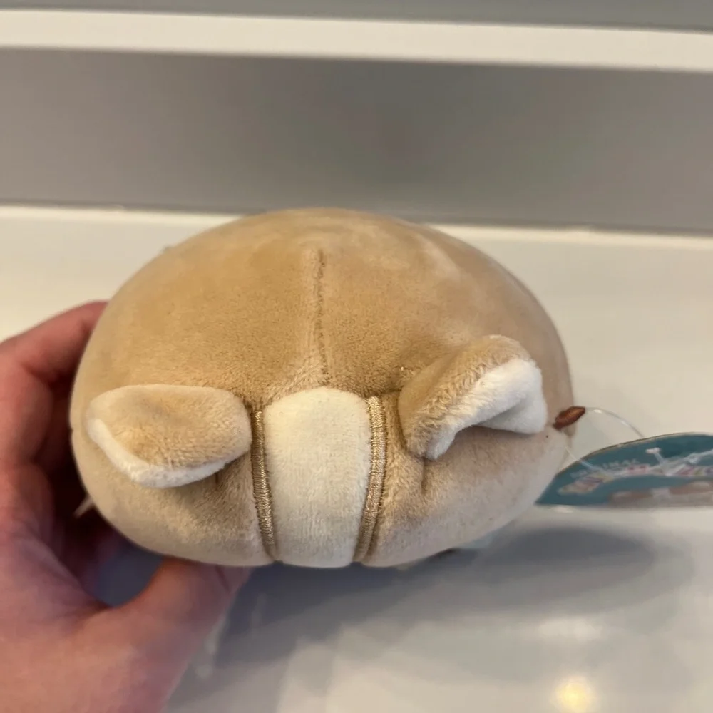 Squishmallows features cute